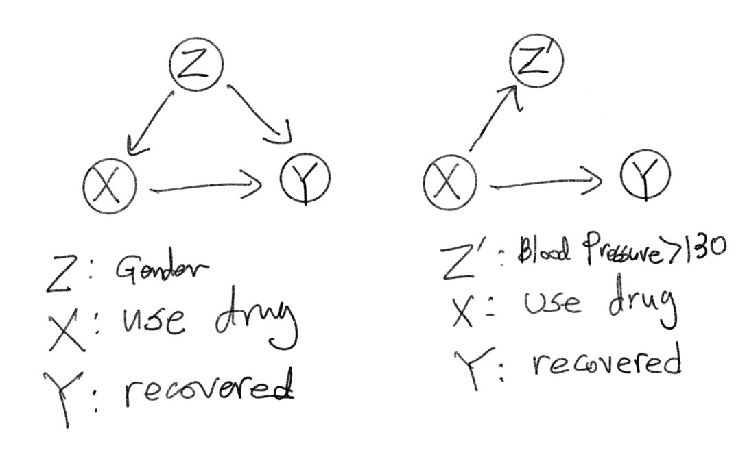 Figure 1. 두 실험에 대한 Casual Diagram