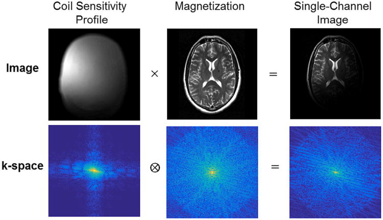 k-space diagram of sensitivity and magnetization